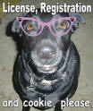 Dog License